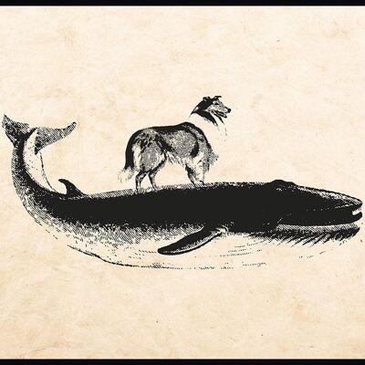 Affiche ancienne baleine et chien sur fond beige - 50 x 40 cm