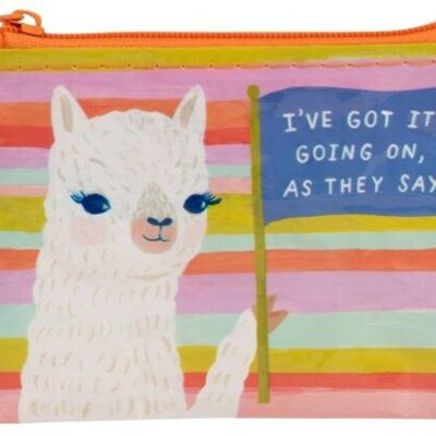 I’ve Got It Going On Coin Purse