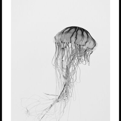 Póster de fotografía de medusas en blanco y negro - 21 x 30 cm