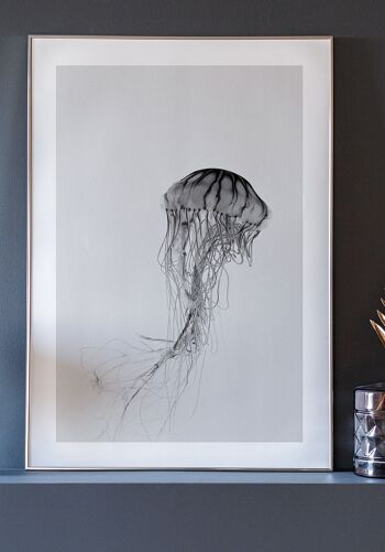 Affiche Photographie Méduses Noir & Blanc - 40 x 50 cm 2