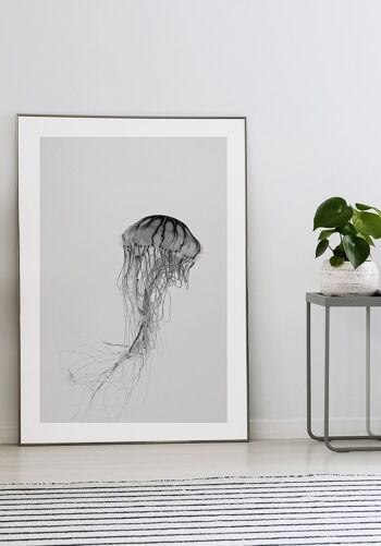 Affiche Photographie Méduses Noir & Blanc - 40 x 50 cm 3