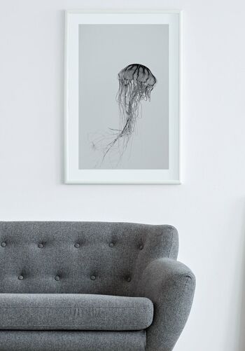 Affiche Photographie Méduses Noir & Blanc - 40 x 50 cm 4