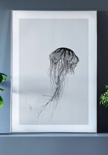 Affiche Photographie Méduse Noir & Blanc - 50 x 70 cm 5