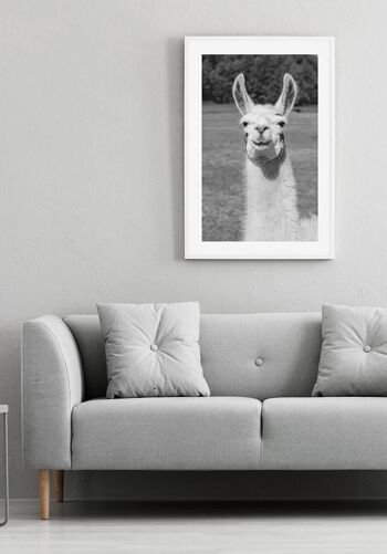 Affiche photographie noir et blanc d'un lama - 21 x 30 cm 2