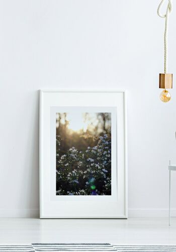 Affiche photographie prairie fleurie avec fleurs blanches - 30 x 40 cm 2