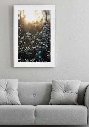 Affiche photographie prairie fleurie avec fleurs blanches - 30 x 40 cm 3