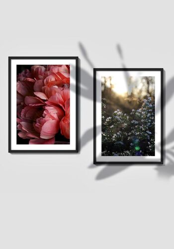 Affiche photographie prairie fleurie avec fleurs blanches - 30 x 40 cm 5