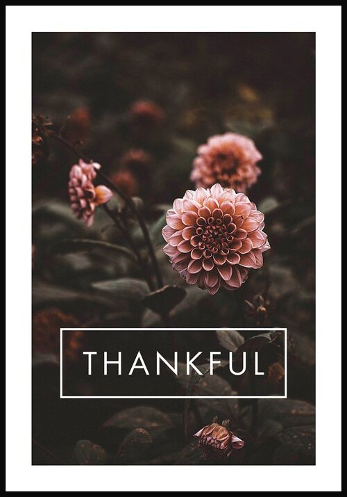 Thankful Poster mit Blumen-Fotografie - 21 x 30 cm