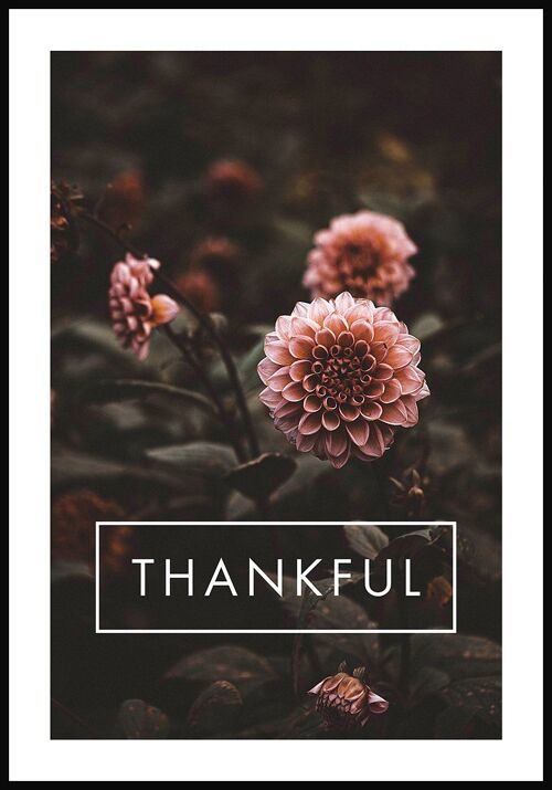 Thankful Poster mit Blumen-Fotografie - 30 x 40 cm