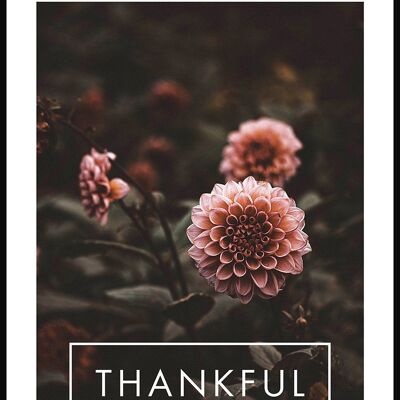 Thankful Poster mit Blumen-Fotografie - 30 x 40 cm