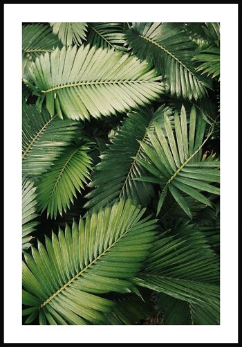 Photographie de feuilles de palmier vert - 21 x 30 cm 1