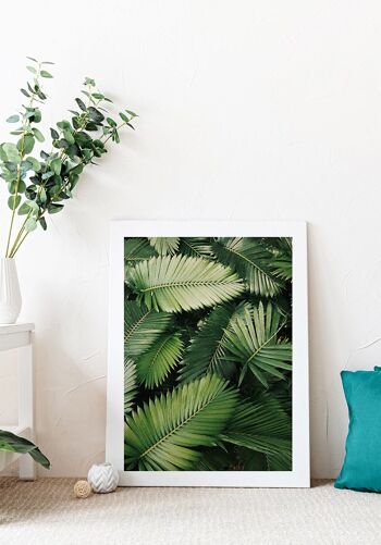Photographie de feuilles de palmier vert - 21 x 30 cm 2