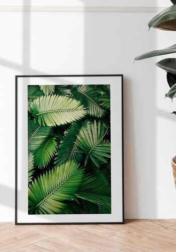 Photographie de feuilles de palmier vert - 21 x 30 cm 4