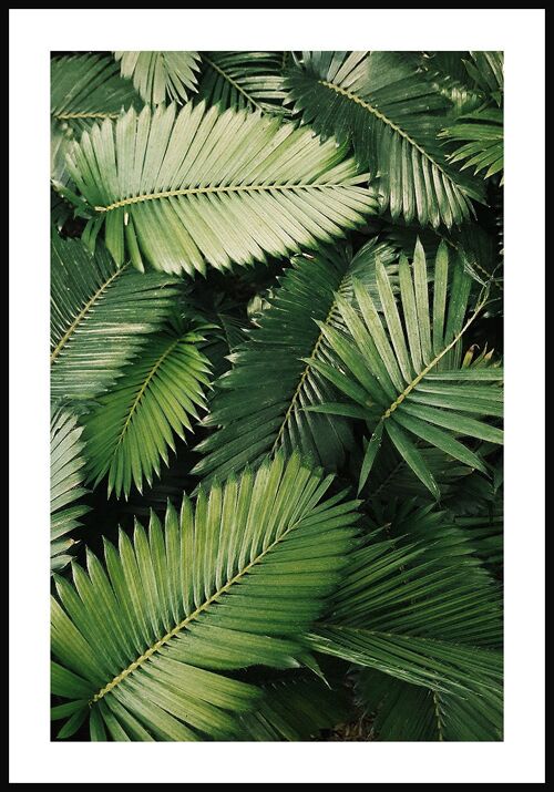 Grüne Palmenblätter-Fotografie - 30 x 40 cm