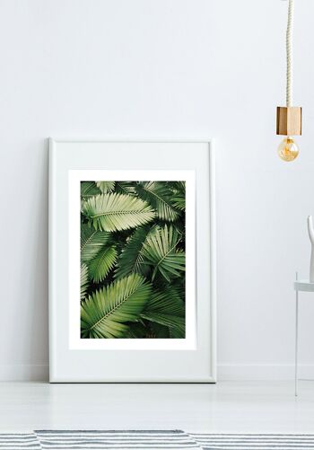 Photographie de feuilles de palmier vert - 40 x 50 cm 7