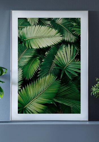 Photographie de feuilles de palmier vert - 50 x 70 cm 3