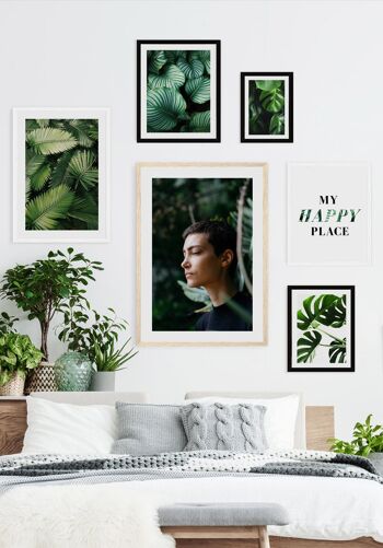 Photographie Plante Verte avec Feuilles Rayées - 21 x 30 cm 4