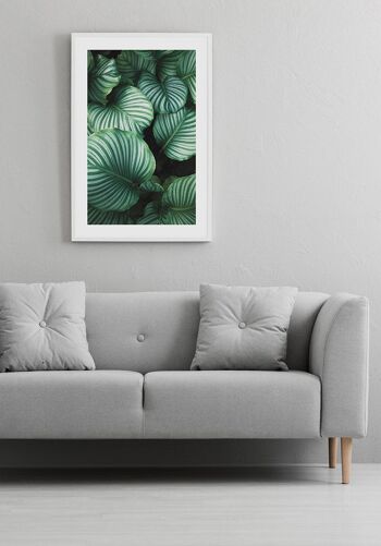 Photographie Plante Verte avec Feuilles Rayées - 50 x 70 cm 6