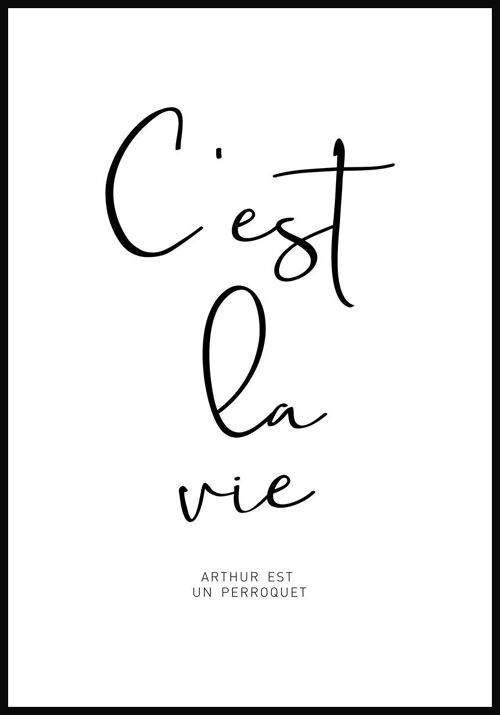 C'est la vie-Typografie Poster auf weißem Hintergrund - 30 x 40 cm