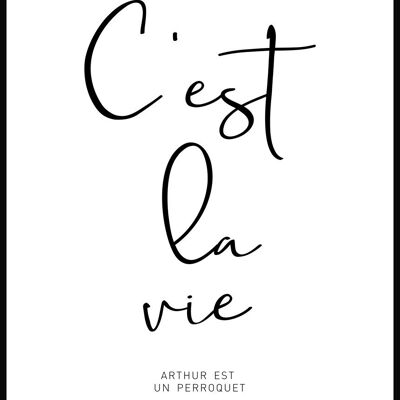 Manifesto tipografico C'est la vie su sfondo bianco - 30 x 40 cm