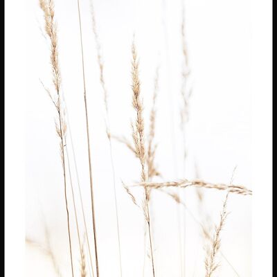Wheat Grasses Poster - 21 x 30 cm