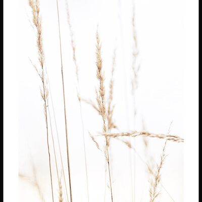 Wheat Grasses Poster - 40 x 50 cm