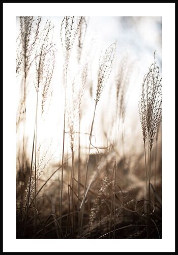 Affiche Herbes des champs - 50 x 70 cm 1