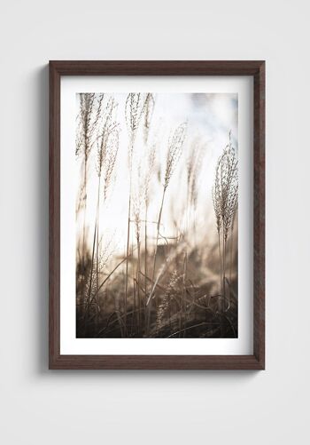 Affiche Herbes des champs - 50 x 70 cm 4