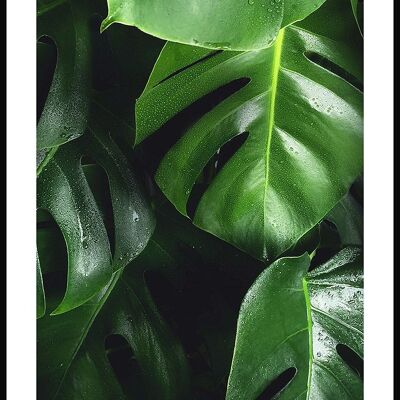 Green Monstera Poster with Leaves - 21 x 30 cm