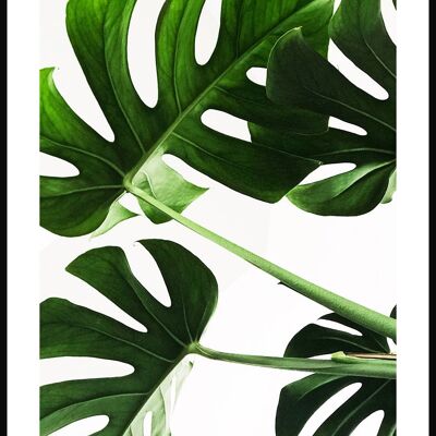 Monstera leaf poster on light background - 21 x 30 cm