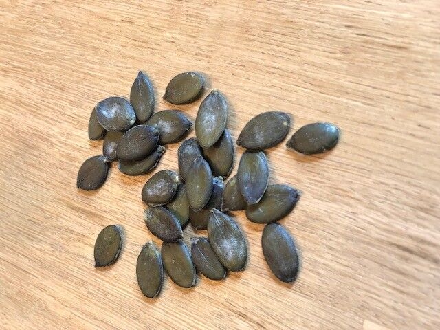 Semi di zucca crudi BULK 1,5kg