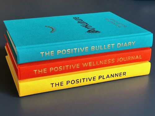 JOURNALING: Three Journal/Diary Bundle