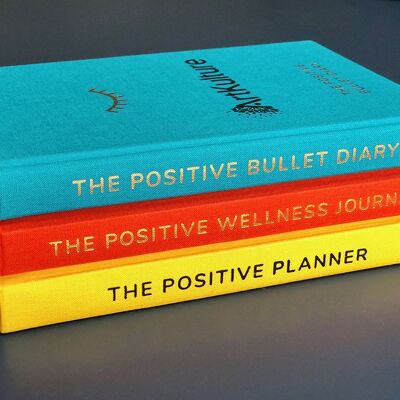 JOURNALING: Three Journal/Diary Bundle