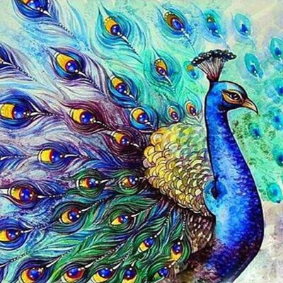 ARTKIT: Paint by Numbers – Peacock1