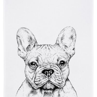 Torchon blanc, bouledogue en Gau