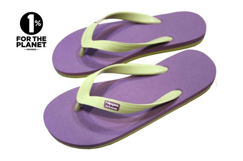 Tong Hippobloo Pack 12 paires SUHKOTHAI_Women
