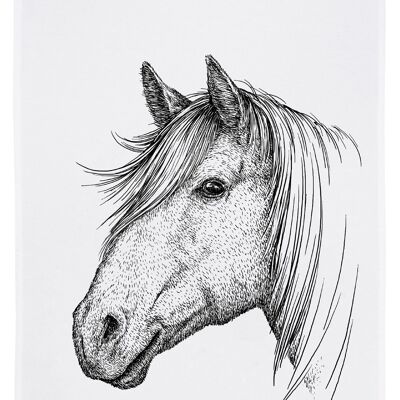 Strofinaccio bianco, cavallo grigio