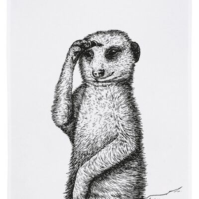 Torchon blanc, suricate en gris