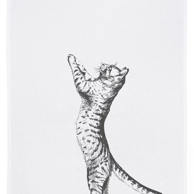 Strofinaccio bianco, gatto in grigio