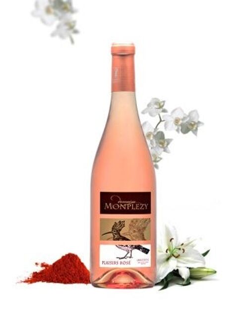 Plaisirs Rosé