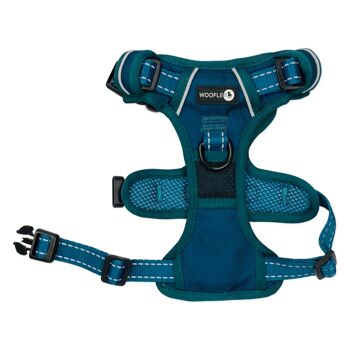 Harnais Endurance _Deep Teal / S - M 1