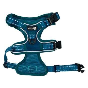 Harnais Endurance _Deep Teal / S - M 2