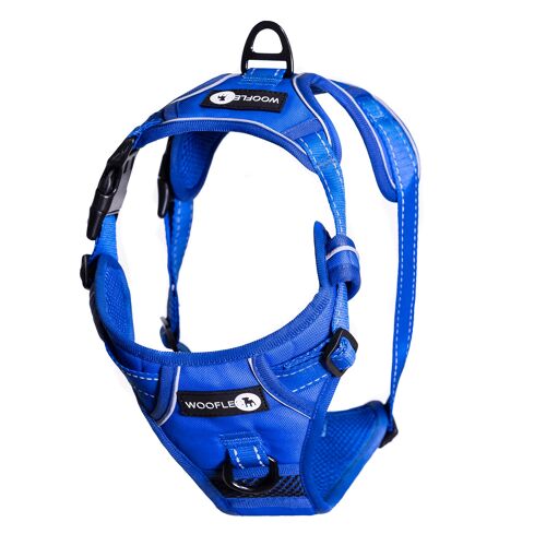 Buy wholesale Endurance Harness - Blue / Small (Carabiner Clip)