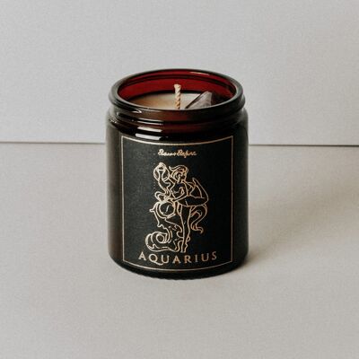 Aquarius Zodiac Crystal Candle - Black Fig & Vetiver - No Thanks / SKU165