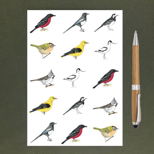 Bird Recycled Notebook A5 - Recycled Paper + Charity Donation