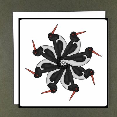 Oystercatcher Spiral Greeting Card - Recycled Paper + Charity Donation