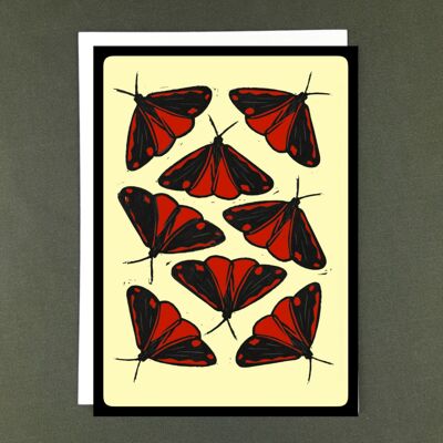 Cinnabar Moths Greeting Card - Recycled Paper + Charity Donation