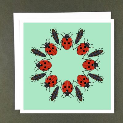 7 Spot Ladybird Greeting Card - Recycled Paper + Charity Donation