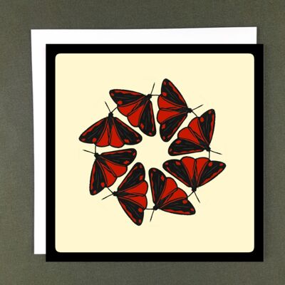 Cinnabar Moth Spiral Greeting Card - Recycled Paper + Charity Donation