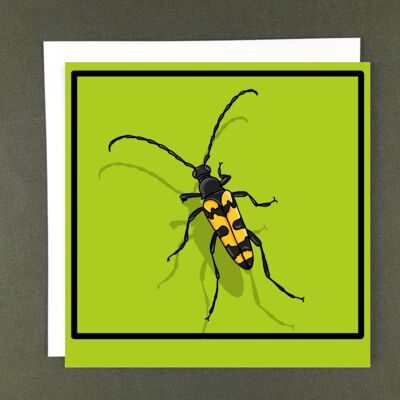 Tarjeta de felicitación de escarabajo de cuernos largos de cuatro bandas - Papel reciclado + Donación de caridad